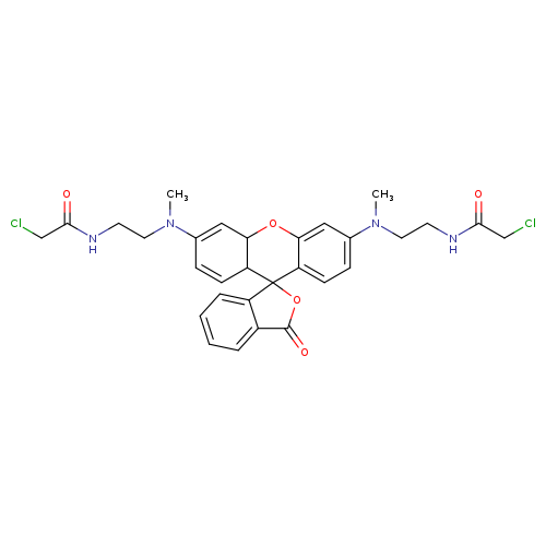 ClCC(=O)NCCN(C1=CC2C(C=C1)C1(OC(=O)c3c1cccc3)c1c(O2)cc(cc1)N(CCNC(=O)CCl)C)C