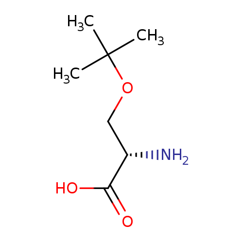 N[C@H](C(=O)O)COC(C)(C)C