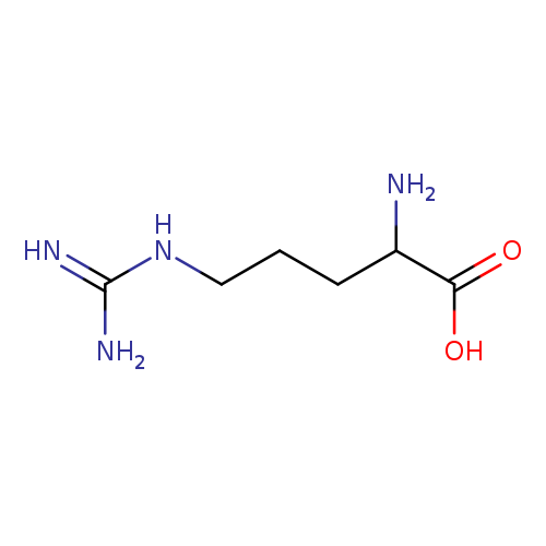 NC(=N)NCCCC(C(=O)O)N