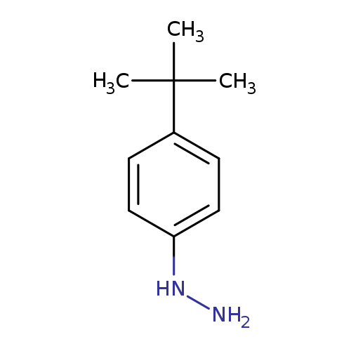 NNc1ccc(cc1)C(C)(C)C