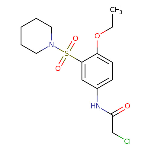 CCOc1ccc(cc1S(=O)(=O)N1CCCCC1)NC(=O)CCl