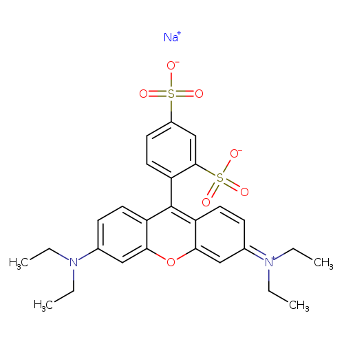 CCN(c1ccc2c(c1)oc1c(c2c2ccc(cc2S(=O)(=O)[O-])S(=O)(=O)[O-])ccc(=[N+](CC)CC)c1)CC.[Na+]