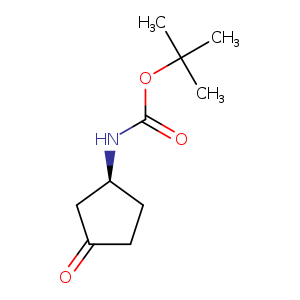 O=C1CC[C@@H](C1)NC(=O)OC(C)(C)C