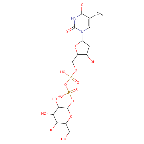 OCC1OC(OP(=O)(OP(=O)(OCC2OC(CC2O)n2cc(C)c(=O)[nH]c2=O)O)O)C(C(C1O)O)O