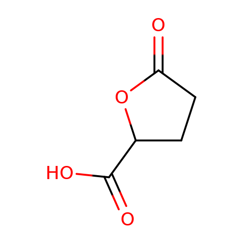 O=C1CCC(O1)C(=O)O