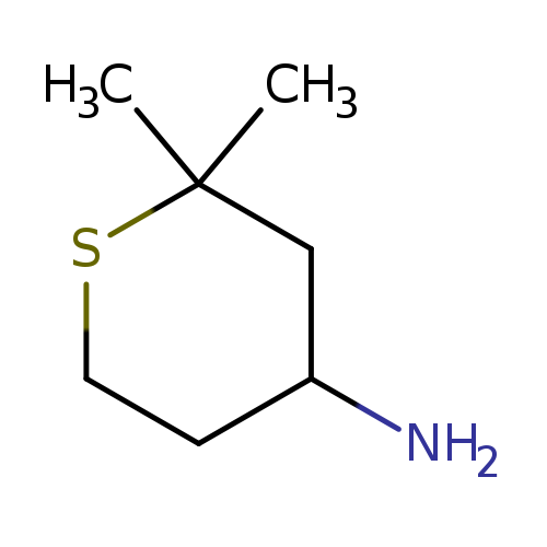 NC1CCSC(C1)(C)C