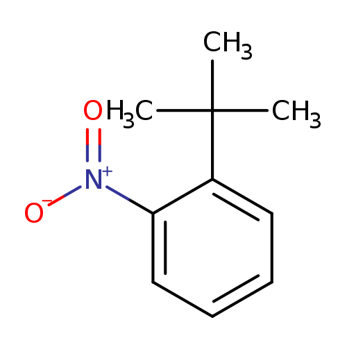 [O-][N+](=O)c1ccccc1C(C)(C)C