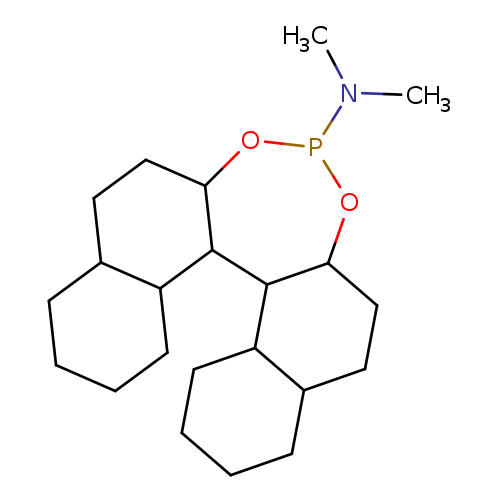 CN(P1OC2CCC3C(C2C2C(O1)CCC1C2CCCC1)CCCC3)C