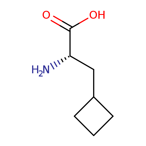 N[C@H](C(=O)O)CC1CCC1