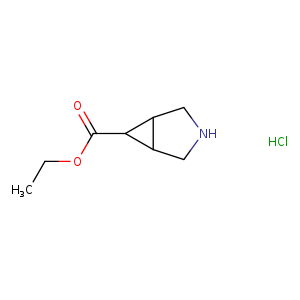 CCOC(=O)C1C2C1CNC2.Cl