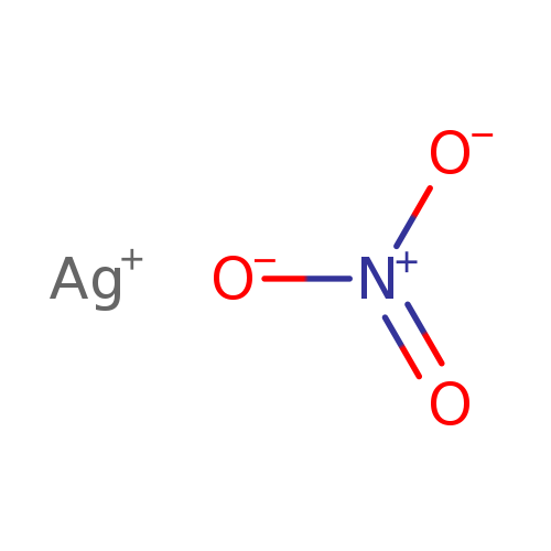 [O-][N+](=O)[O-].[Ag+]