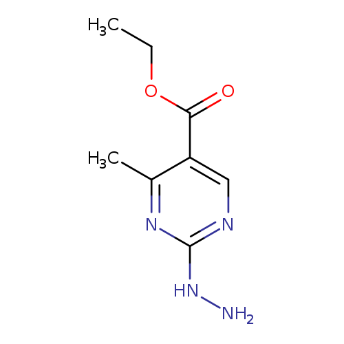 CCOC(=O)c1cnc(nc1C)NN