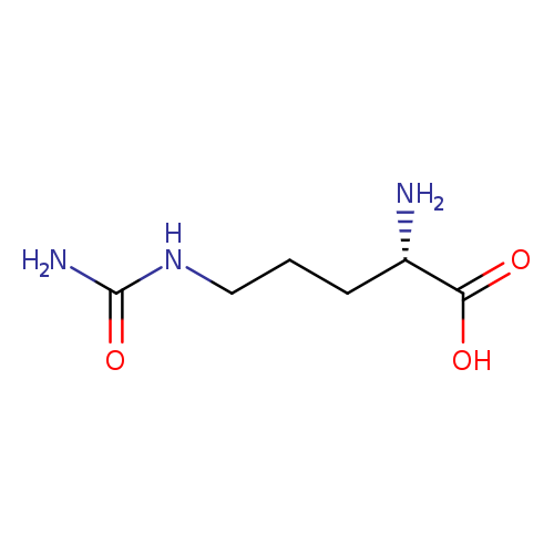 NC(=O)NCCC[C@@H](C(=O)O)N