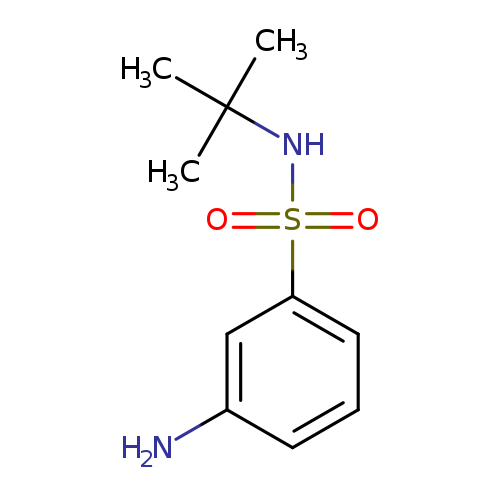 Nc1cccc(c1)S(=O)(=O)NC(C)(C)C