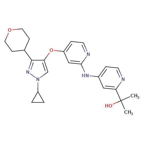 CC(c1nccc(c1)Nc1nccc(c1)Oc1cn(nc1C1CCOCC1)C1CC1)(O)C