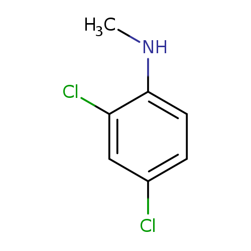 CNc1ccc(cc1Cl)Cl