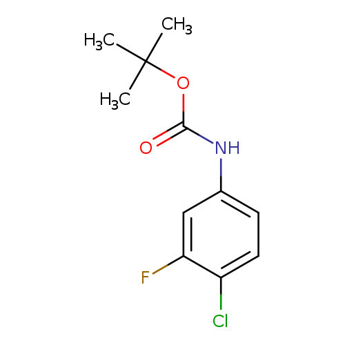 O=C(OC(C)(C)C)Nc1ccc(c(c1)F)Cl