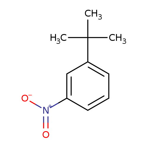 [O-][N+](=O)c1cccc(c1)C(C)(C)C