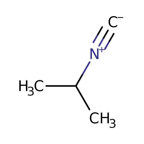 CC([N+]#[C-])C