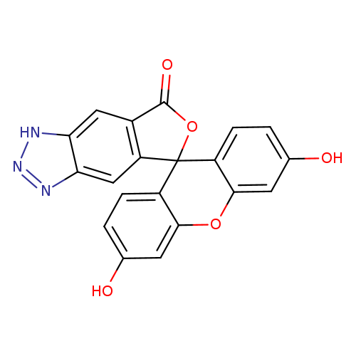 Oc1ccc2c(c1)Oc1c(C32OC(=O)c2c3cc3nn[nH]c3c2)ccc(c1)O