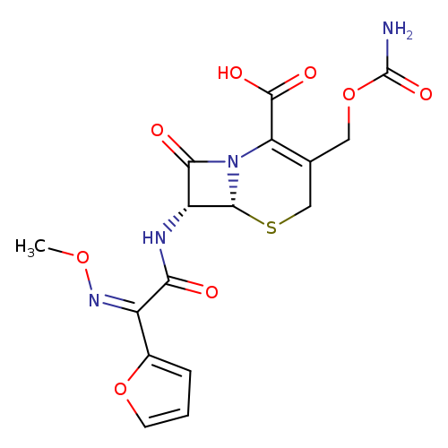 CO/N=C(\C(=O)N[C@@H]1C(=O)N2[C@@H]1SCC(=C2C(=O)O)COC(=O)N)/c1ccco1