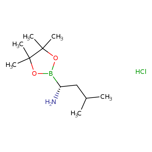 CC(C[C@@H](B1OC(C(O1)(C)C)(C)C)N)C.Cl