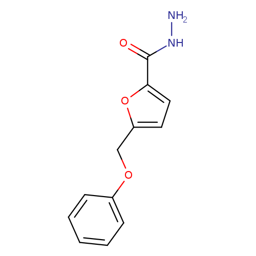 NNC(=O)c1ccc(o1)COc1ccccc1