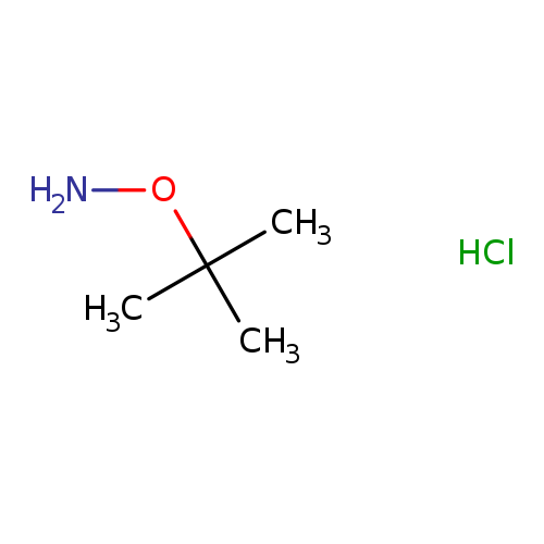 NOC(C)(C)C.Cl