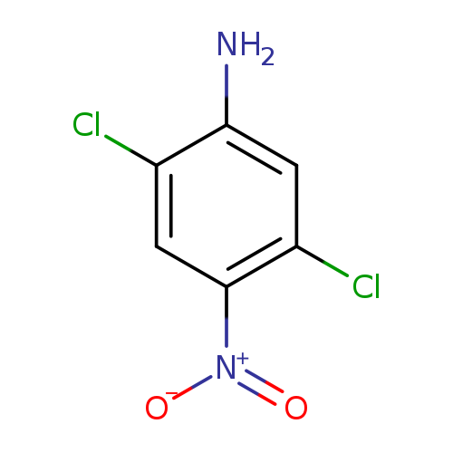 Clc1cc([N+](=O)[O-])c(cc1N)Cl