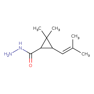 NNC(=O)C1C(C1(C)C)C=C(C)C