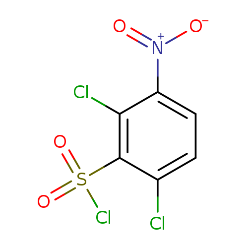 [O-][N+](=O)c1ccc(c(c1Cl)S(=O)(=O)Cl)Cl