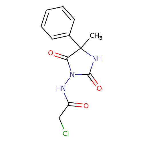 ClCC(=O)NN1C(=O)NC(C1=O)(C)c1ccccc1