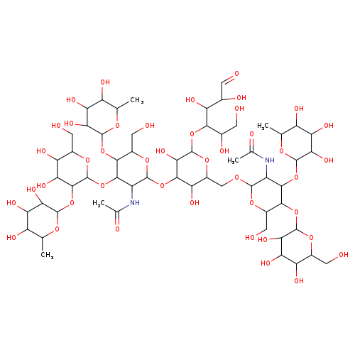 OCC(C(C(C(C=O)O)O)OC1OC(COC2OC(CO)C(C(C2NC(=O)C)OC2OC(C)C(C(C2O)O)O)OC2OC(CO)C(C(C2O)O)O)C(C(C1O)OC1OC(CO)C(C(C1NC(=O)C)OC1OC(CO)C(C(C1OC1OC(C)C(C(C1O)O)O)O)O)OC1OC(C)C(C(C1O)O)O)O)O