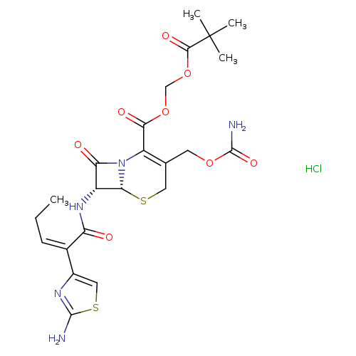 CC/C=C(/c1csc(n1)N)C(=O)N[C@@H]1C(=O)N2[C@@H]1SCC(=C2C(=O)OCOC(=O)C(C)(C)C)COC(=O)N.Cl