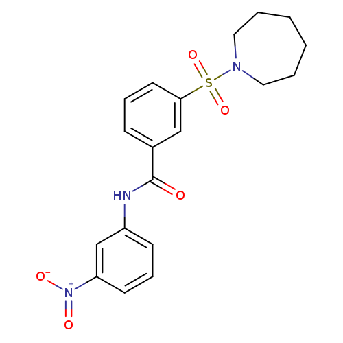O=C(c1cccc(c1)S(=O)(=O)N1CCCCCC1)Nc1cccc(c1)[N+](=O)[O-]
