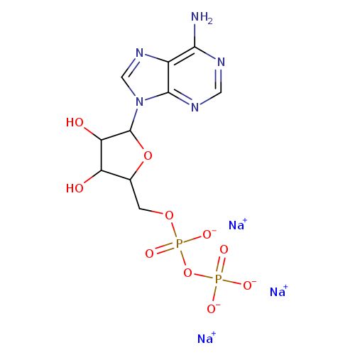 OC1C(COP(=O)(OP(=O)([O-])[O-])[O-])OC(C1O)n1cnc2c1ncnc2N.[Na+].[Na+].[Na+]