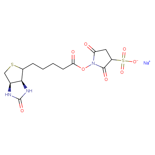 O=C(ON1C(=O)CC(C1=O)S(=O)(=O)[O-])CCCCC1SC[C@H]2[C@@H]1NC(=O)N2.[Na+]