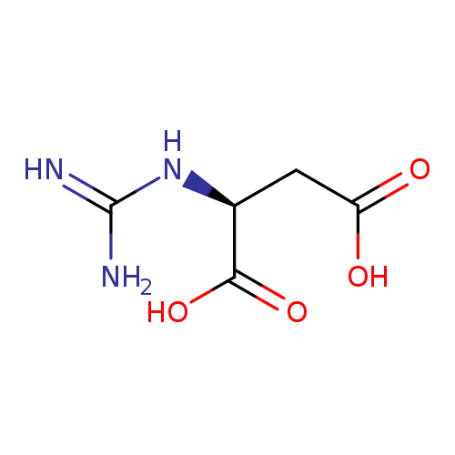 NC(=N)N[C@H](C(=O)O)CC(=O)O