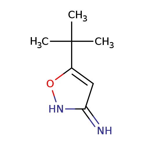 CC(c1o[nH]c(=N)c1)(C)C