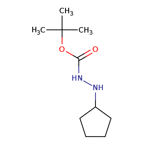 O=C(OC(C)(C)C)NNC1CCCC1