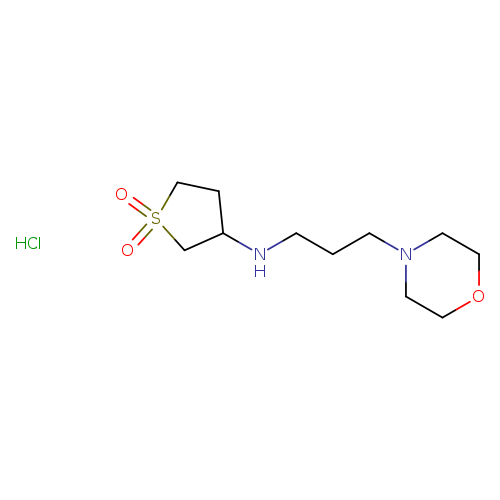 O=S1(=O)CCC(C1)NCCCN1CCOCC1.Cl