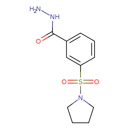 NNC(=O)c1cccc(c1)S(=O)(=O)N1CCCC1
