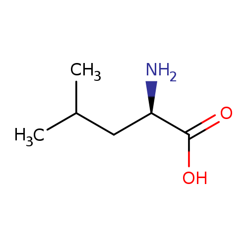 N[C@@H](C(=O)O)CC(C)C