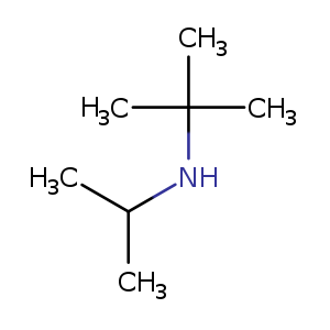CC(NC(C)(C)C)C