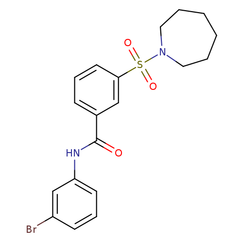 Brc1cccc(c1)NC(=O)c1cccc(c1)S(=O)(=O)N1CCCCCC1