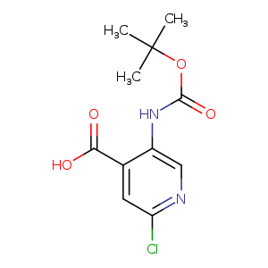 O=C(Nc1cnc(cc1C(=O)O)Cl)OC(C)(C)C