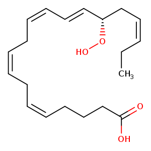 CC/C=CC[C@@H](/C=C/C=CC/C=CC/C=CCCCC(=O)O)OO