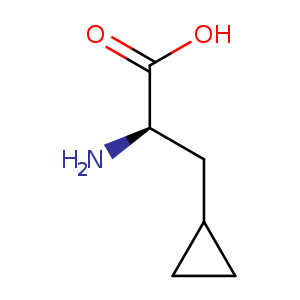 N[C@@H](C(=O)O)CC1CC1