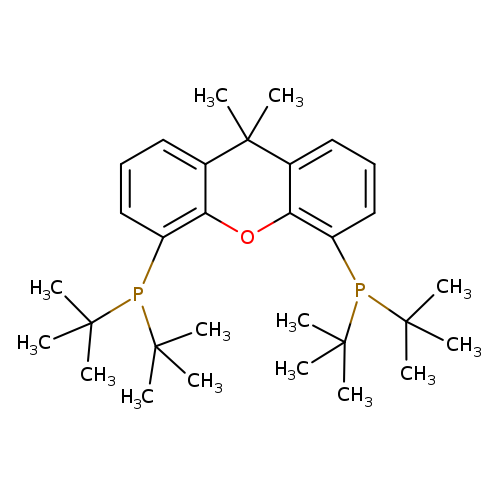 CC1(C)c2cccc(c2Oc2c1cccc2P(C(C)(C)C)C(C)(C)C)P(C(C)(C)C)C(C)(C)C