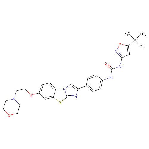 O=C(Nc1noc(c1)C(C)(C)C)Nc1ccc(cc1)c1cn2c(n1)sc1c2ccc(c1)OCCN1CCOCC1